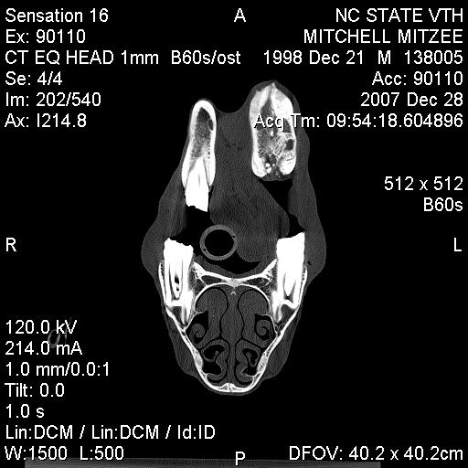 CT 202