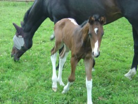 Harley and Mum