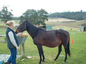 Jingles on day 1 of treatment given 8 weeks to live.